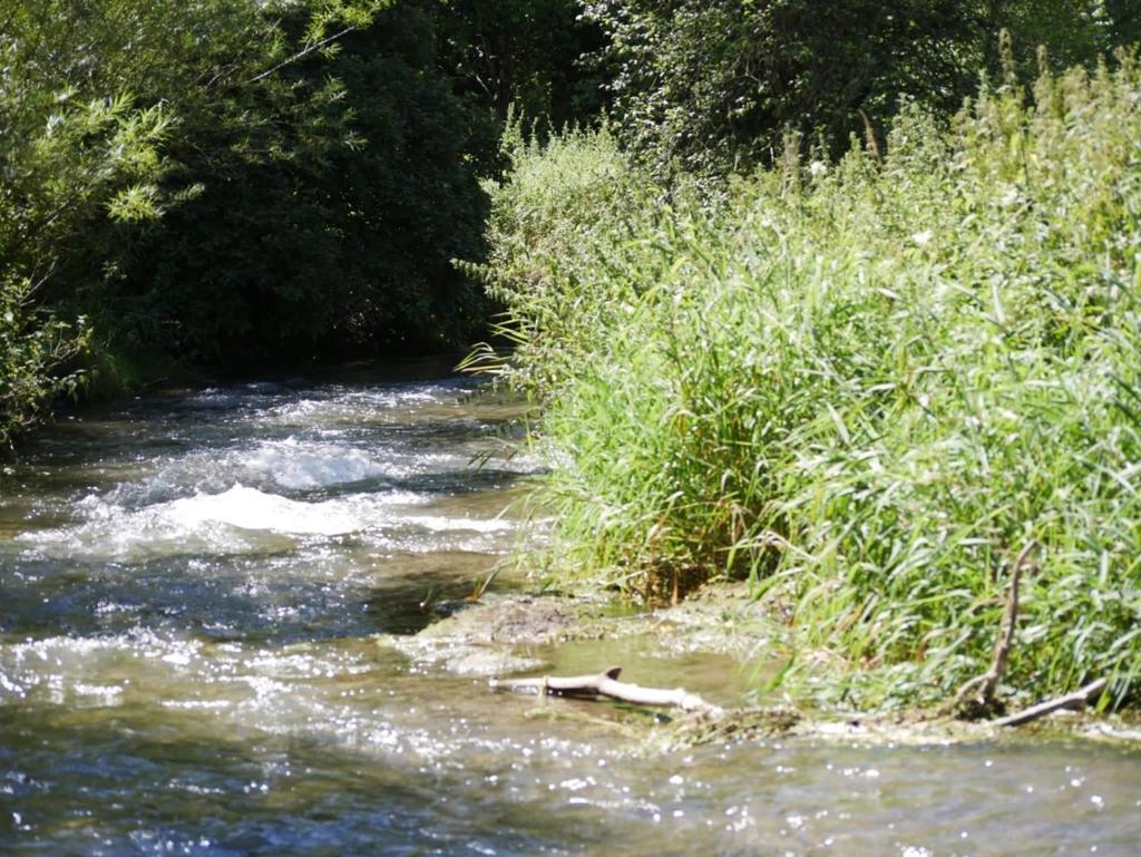 Ferienhaus Eichhoelzle Münsingen Exteriör bild